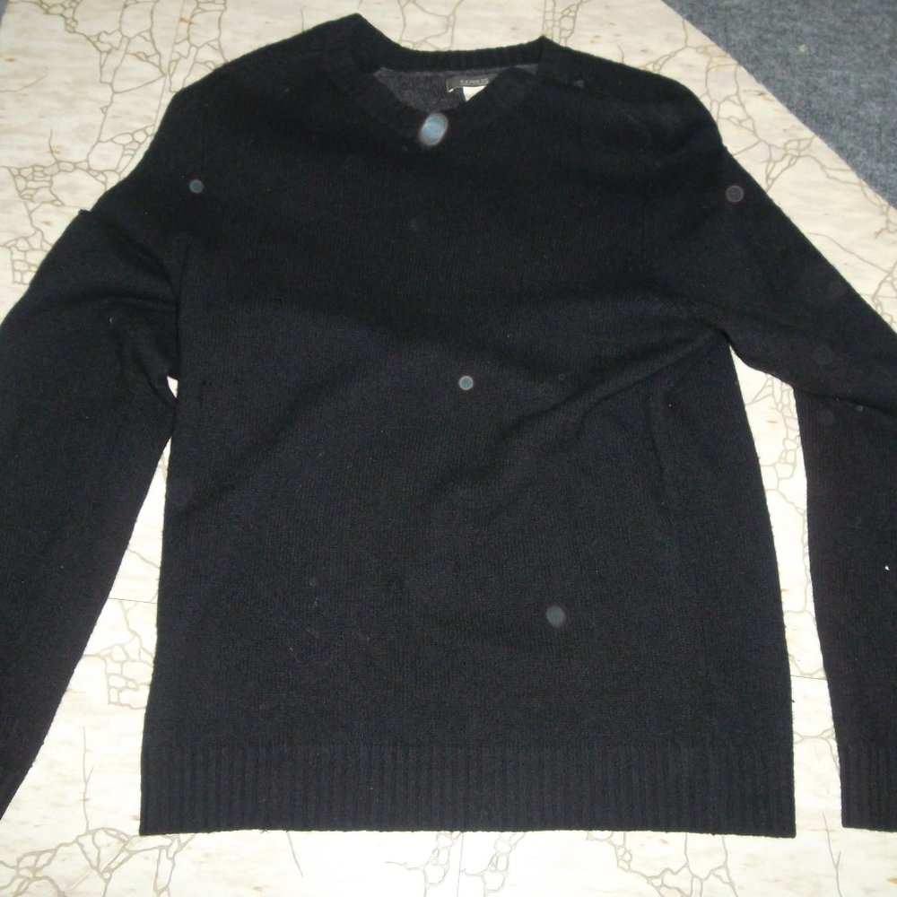 Express V-Neck Sweater